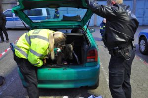Drogenspürhunde
