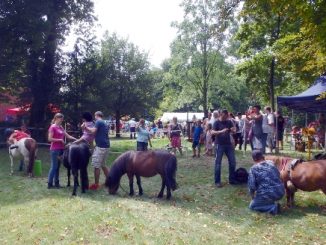 Familienfest in Celle
